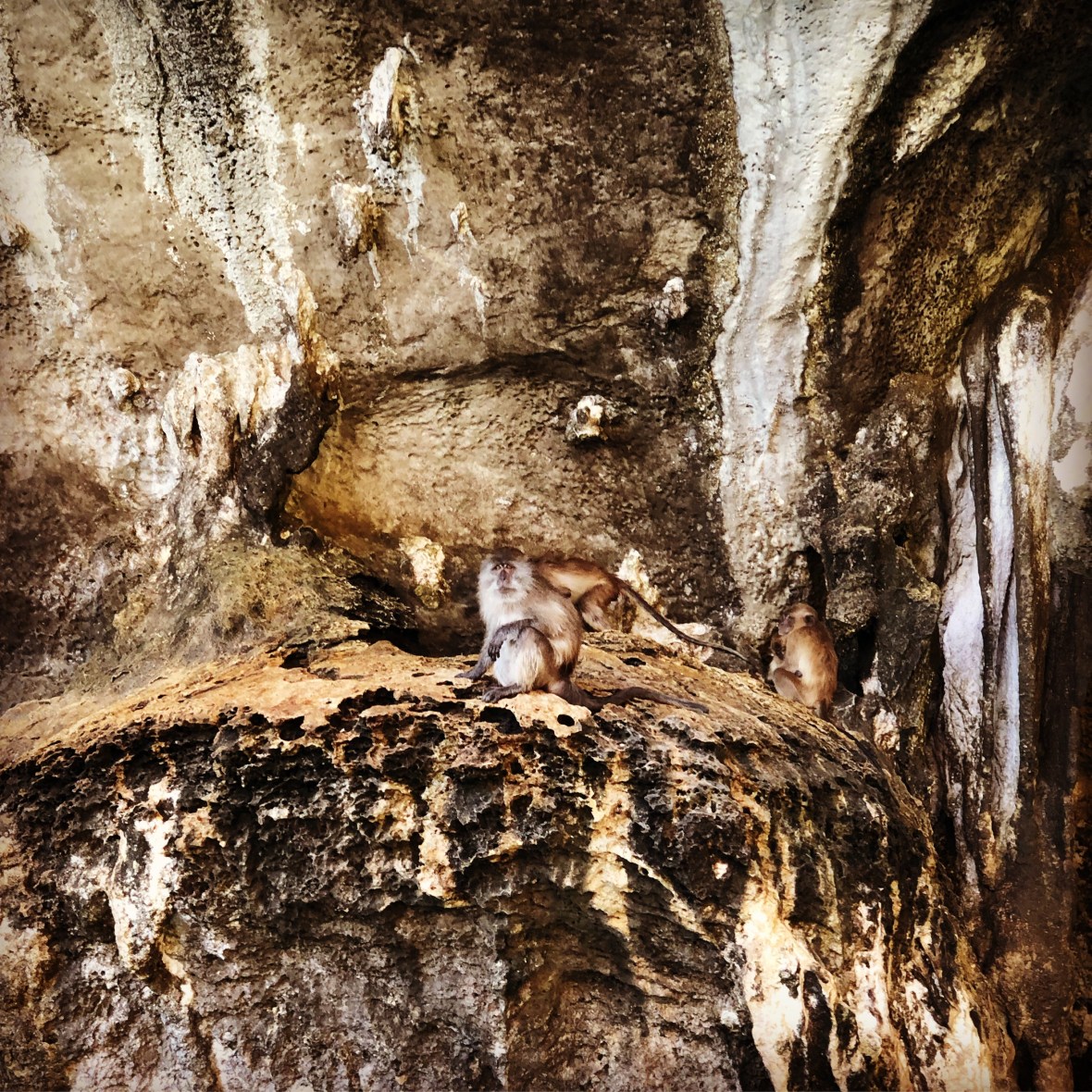 9B0E3F77-B8FF-4DFD-BB87-7C5BBEA5A278