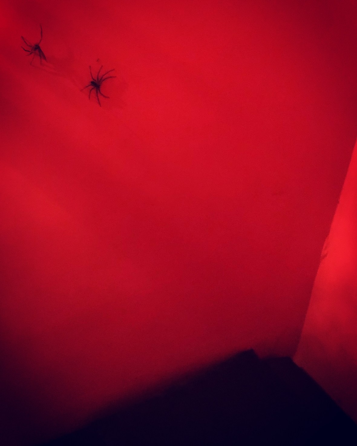 907F6DD9-5A5E-489A-BA75-E9BCA85FF04D